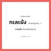 กะละมัง หรือ กาละมัง เขียนยังไง? คำไหนเขียนถูก?, คำในภาษาไทยที่มักเขียนผิด กะละมัง คำที่ผิด ❌ กาละมัง