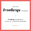 ข้าวเหนียวมูล หรือ ข้าวเหนียวมูน คำไหนเขียนถูก?, คำในภาษาไทยที่มักเขียนผิด ข้าวเหนียวมูล คำที่ผิด ❌ ข้าวเหนียวมูน หมายเหตุ มูน = เอากะทิเคล้ากับข้าวเหนียวเพื่อให้มัน