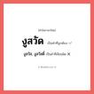 งูสวัด หรือ งูสวัส, งูสวัสดิ์ เขียนยังไง? คำไหนเขียนถูก?, คำในภาษาไทยที่มักเขียนผิด งูสวัด คำที่ผิด ❌ งูสวัส, งูสวัสดิ์