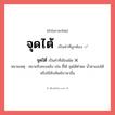 จุดไต้ หรือ จุดใต้ เขียนยังไง? คำไหนเขียนถูก?, คำในภาษาไทยที่มักเขียนผิด จุดไต้ คำที่ผิด ❌ จุดใต้ หมายเหตุ หมายถึงคบเพลิง เช่น ขี้ไต้ จุดไต้ตำตอ น้ำตาแสงไต้ หรือใช้ทับศัพท์ภาษาอื่น