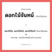 ดอกไม้จันทน์ หรือ ดอกไม้จัน, ดอกไม้จันท์, ดอกไม้จันทร์ เขียนยังไง? คำไหนเขียนถูก?, คำในภาษาไทยที่มักเขียนผิด ดอกไม้จันทน์ คำที่ผิด ❌ ดอกไม้จัน, ดอกไม้จันท์, ดอกไม้จันทร์ หมายเหตุ ดอกไม้ประดิษฐ์สำหรับงานเผาศพ