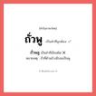 ถั่วพลู หรือ ถั่วพู คำไหนเขียนถูก?, คำในภาษาไทยที่มักเขียนผิด ถั่วพลู คำที่ผิด ❌ ถั่วพู หมายเหตุ ถั่วที่ด้านข้างมีรอยเป็นพู