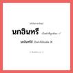 นกอินทรีย์ หรือ นกอินทรี คำไหนเขียนถูก?, คำในภาษาไทยที่มักเขียนผิด นกอินทรีย์ คำที่ผิด ❌ นกอินทรี