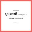 บุปผชาติ หรือ บุปผาชาติ เขียนยังไง? คำไหนเขียนถูก?, คำในภาษาไทยที่มักเขียนผิด บุปผชาติ คำที่ผิด ❌ บุปผาชาติ