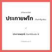 ประกายพรึก หรือ ประกายพฤกษ์ เขียนยังไง? คำไหนเขียนถูก?, คำในภาษาไทยที่มักเขียนผิด ประกายพรึก คำที่ผิด ❌ ประกายพฤกษ์
