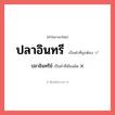 ปลาอินทรี หรือ ปลาอินทรีย์ เขียนยังไง? คำไหนเขียนถูก?, คำในภาษาไทยที่มักเขียนผิด ปลาอินทรี คำที่ผิด ❌ ปลาอินทรีย์
