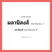 ผลานิสงส์ หรือ ผลานิสงฆ์ เขียนยังไง? คำไหนเขียนถูก?, คำในภาษาไทยที่มักเขียนผิด ผลานิสงส์ คำที่ผิด ❌ ผลานิสงฆ์