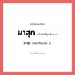 ผาสุก หรือ ผาสุข เขียนยังไง? คำไหนเขียนถูก?, คำในภาษาไทยที่มักเขียนผิด ผาสุก คำที่ผิด ❌ ผาสุข