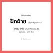 ฝักฝ่าย หรือ ฝักใฝ่, ฝักไฝ่ เขียนยังไง? คำไหนเขียนถูก?, คำในภาษาไทยที่มักเขียนผิด ฝักฝ่าย คำที่ผิด ❌ ฝักใฝ่, ฝักไฝ่ หมายเหตุ พวก, ข้าง