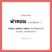ฟาธอม, แฟทอม, แฟธอม หรือ ฟาทอม คำไหนเขียนถูก?, คำในภาษาไทยที่มักเขียนผิด ฟาธอม, แฟทอม, แฟธอม คำที่ผิด ❌ ฟาทอม หมายเหตุ หน่วยวัดระยะทาง