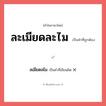 ลเมียดลไม หรือ ละเมียดละไม คำไหนเขียนถูก?, คำในภาษาไทยที่มักเขียนผิด ลเมียดลไม คำที่ผิด ❌ ละเมียดละไม