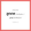 ลูกเกตุ หรือ ลูกเกด คำไหนเขียนถูก?, คำในภาษาไทยที่มักเขียนผิด ลูกเกตุ คำที่ผิด ❌ ลูกเกด