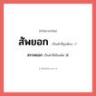 สรรพยอก หรือ สัพยอก คำไหนเขียนถูก?, คำในภาษาไทยที่มักเขียนผิด สรรพยอก คำที่ผิด ❌ สัพยอก