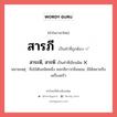สาระพี, สารพี หรือ สารภี คำไหนเขียนถูก?, คำในภาษาไทยที่มักเขียนผิด สาระพี, สารพี คำที่ผิด ❌ สารภี หมายเหตุ ชื่อไม้ต้นชนิดหนึ่ง ดอกสีขาวกลิ่นหอม, มิได้หมายถึง เครื่องครัว