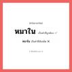 หมาใน หรือ หมาไน เขียนยังไง? คำไหนเขียนถูก?, คำในภาษาไทยที่มักเขียนผิด หมาใน คำที่ผิด ❌ หมาไน