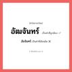 อัธจันทร์ หรือ อัฒจันทร์ คำไหนเขียนถูก?, คำในภาษาไทยที่มักเขียนผิด อัธจันทร์ คำที่ผิด ❌ อัฒจันทร์