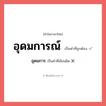 อุดมการณ์ หรือ อุดมการ เขียนยังไง? คำไหนเขียนถูก?, คำในภาษาไทยที่มักเขียนผิด อุดมการณ์ คำที่ผิด ❌ อุดมการ