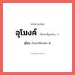 อุโมงค์ หรือ อุโมง เขียนยังไง? คำไหนเขียนถูก?, คำในภาษาไทยที่มักเขียนผิด อุโมงค์ คำที่ผิด ❌ อุโมง