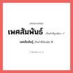 เพศสัมพันธ์ หรือ เพศสัมพันธุ์ เขียนยังไง? คำไหนเขียนถูก?, คำในภาษาไทยที่มักเขียนผิด เพศสัมพันธ์ คำที่ผิด ❌ เพศสัมพันธุ์