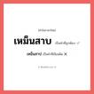 เหม็นสาบ หรือ เหม็นสาป เขียนยังไง? คำไหนเขียนถูก?, คำในภาษาไทยที่มักเขียนผิด เหม็นสาบ คำที่ผิด ❌ เหม็นสาป
