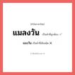 แมลงวัน หรือ แมงวัน เขียนยังไง? คำไหนเขียนถูก?, คำในภาษาไทยที่มักเขียนผิด แมลงวัน คำที่ผิด ❌ แมงวัน