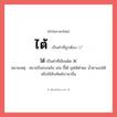 ใต้ หรือ ไต้ เขียนยังไง? คำไหนเขียนถูก?, คำในภาษาไทยที่มักเขียนผิด ไต้ คำที่ผิด ❌ ใต้ หมายเหตุ หมายถึงคบเพลิง เช่น ขี้ไต้ จุดไต้ตำตอ น้ำตาแสงไต้ หรือใช้ทับศัพท์ภาษาอื่น
